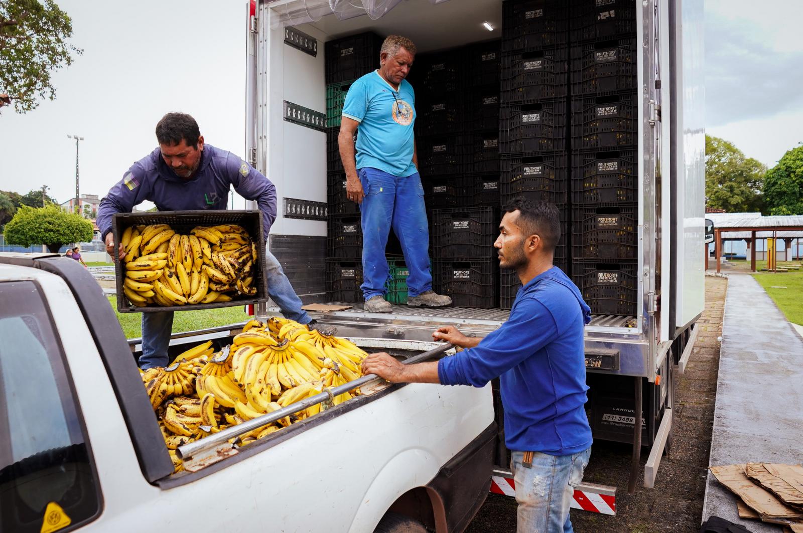 Mesa Brasil recebe doação de 18 toneladas em bananas e atende cerca de dez mil pessoas